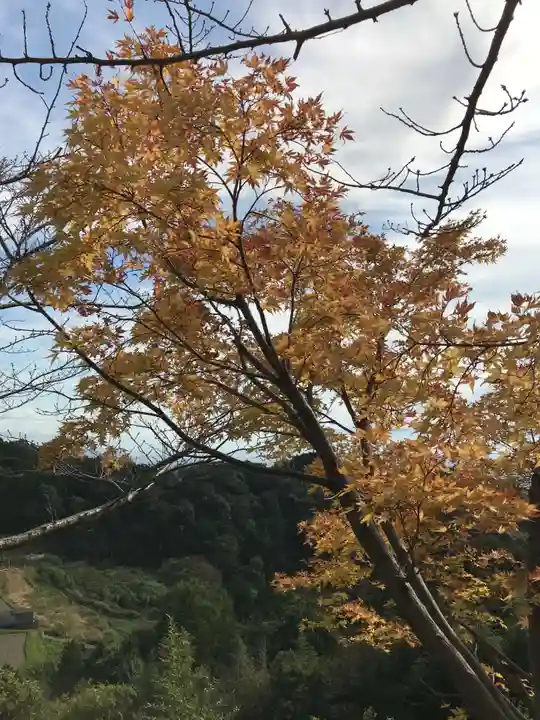 総本山 本福寺(佐賀県)