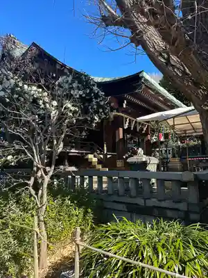 五條天神社の本殿・本堂