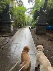 日吉神社(神奈川県)