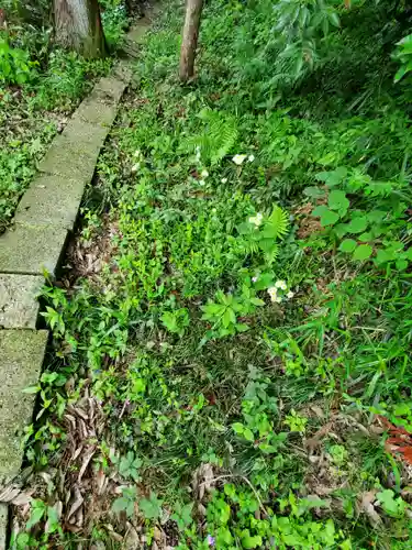 磐裂根裂神社(栃木県)