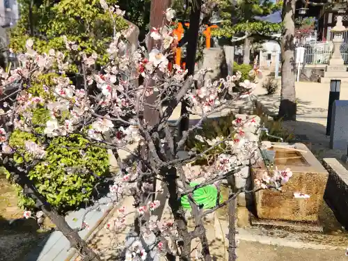 打出天神社(兵庫県)