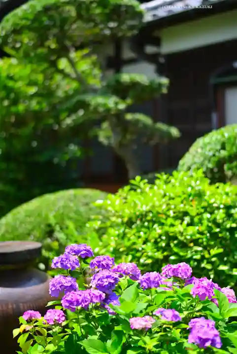妙楽寺(神奈川県)