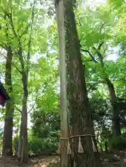 高瀧神社(千葉県)