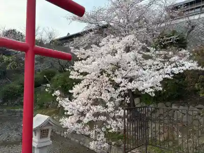 神咒寺の{uncategorized: "未分類", other: "その他", undefined: "問題あり", building: "その他建物", grave: "お墓", sacred_gate: "鳥居", guardian: "狛犬", statue: "像", buddha: "仏像", history: "歴史", nature: "自然", garden: "庭園", animal: "動物", pagoda: "塔", temizu: "手水舎", mountain_gate: "山門・神門", sanctuary: "本殿・本堂", subordinate: "末社・摂社", art: "芸術", scenery: "景色", jizo: "地蔵", ema: "絵馬", goshuin: "御朱印", omikuji: "おみくじ", items: "授与品その他", amulet: "お守り", goshuincho: "御朱印帳", eats: "食事", festival: "お祭り", votive_dance: "神楽", shichigosan: "七五三参", wedding: "結婚式", experience: "体験その他", initially: "初詣", around: "周辺", anti_infection: "感染症対策"}