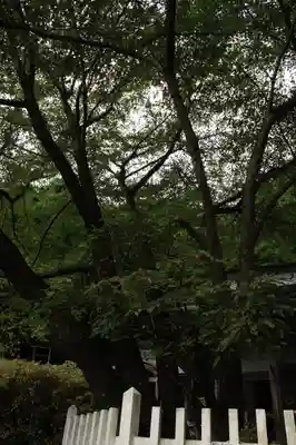 月輪寺のその他建物