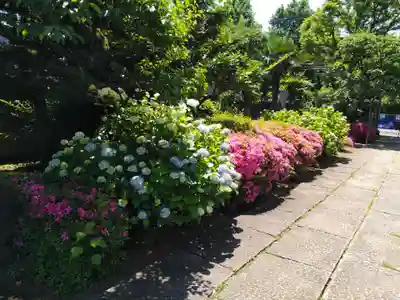 本寿院(東京都)