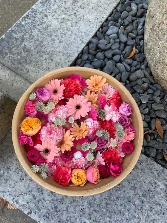 彌都加伎神社の自然