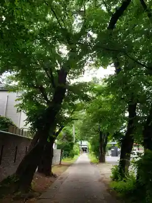 田端神社(東京都)