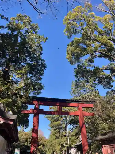 武蔵一宮氷川神社(埼玉県)