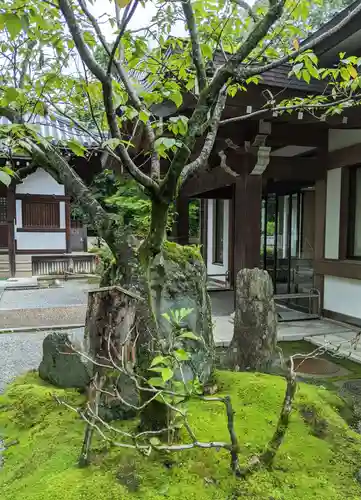 御寺 泉涌寺の庭園