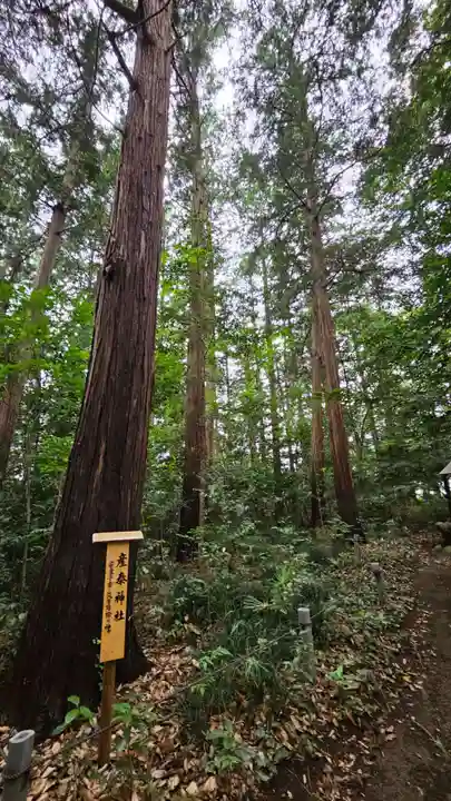 三ケ尻八幡神社(埼玉県)