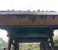 樋沢坊の山門・神門