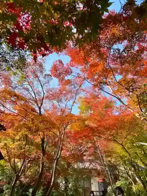 善法律寺(京都府)