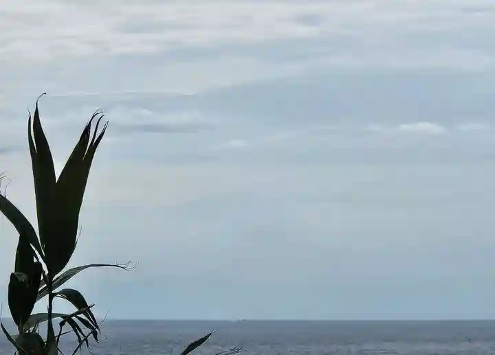 洲崎神社(千葉県)