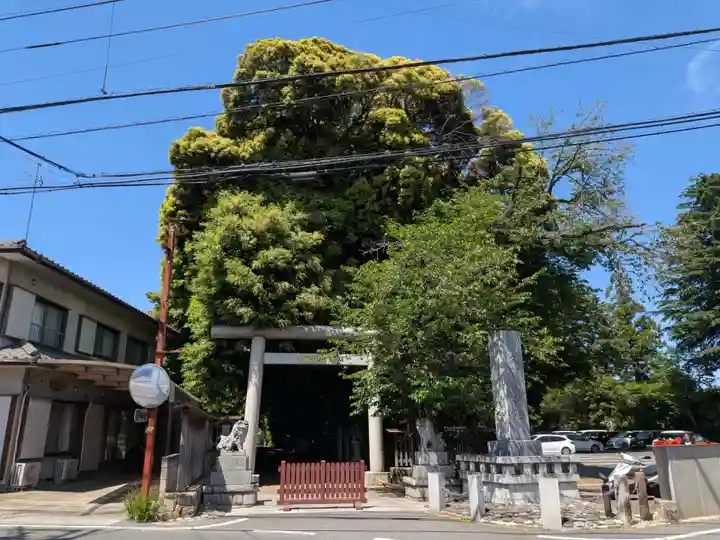 岩槻久伊豆神社(埼玉県)