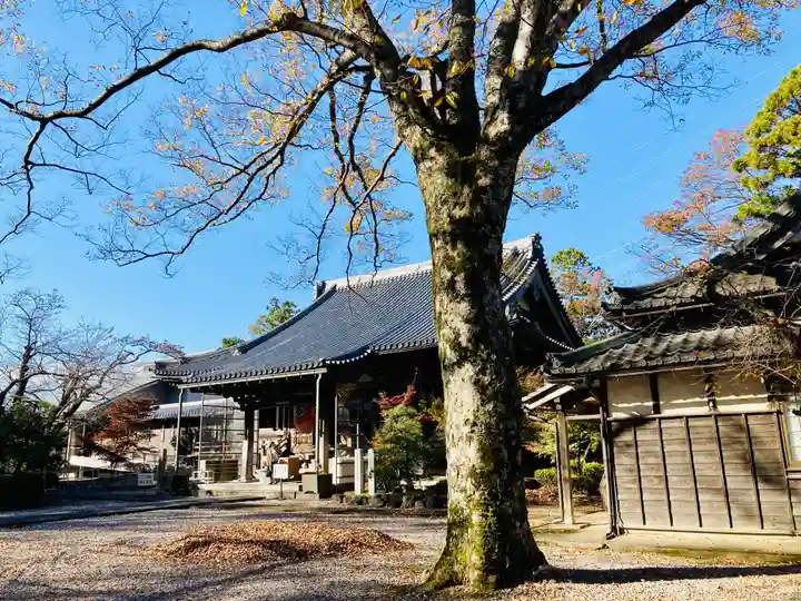 渡岸寺観音堂(向源寺)の本殿・本堂