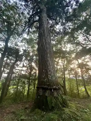 熊野神社(宮城県)