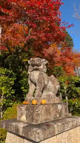 善峯寺(京都府)