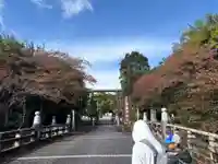 滋賀県護国神社(滋賀県)