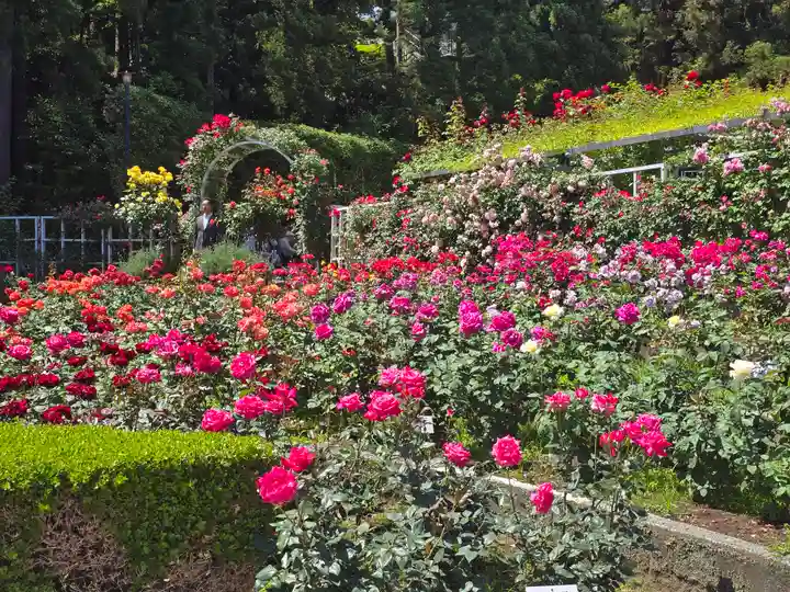 霊山寺(奈良県)