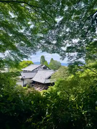 青蓮院門跡の{uncategorized: "未分類", other: "その他", undefined: "問題あり", building: "その他建物", grave: "お墓", sacred_gate: "鳥居", guardian: "狛犬", statue: "像", buddha: "仏像", history: "歴史", nature: "自然", garden: "庭園", animal: "動物", pagoda: "塔", temizu: "手水舎", mountain_gate: "山門・神門", sanctuary: "本殿・本堂", subordinate: "末社・摂社", art: "芸術", scenery: "景色", jizo: "地蔵", ema: "絵馬", goshuin: "御朱印", omikuji: "おみくじ", items: "授与品その他", amulet: "お守り", goshuincho: "御朱印帳", eats: "食事", festival: "お祭り", votive_dance: "神楽", shichigosan: "七五三参", wedding: "結婚式", experience: "体験その他", initially: "初詣", around: "周辺", anti_infection: "感染症対策"}