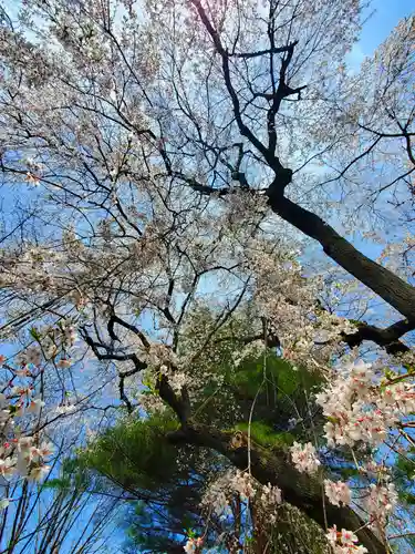 関川寺(福島県)