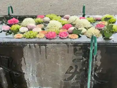 箭弓稲荷神社の{uncategorized: "未分類", other: "その他", undefined: "問題あり", building: "その他建物", grave: "お墓", sacred_gate: "鳥居", guardian: "狛犬", statue: "像", buddha: "仏像", history: "歴史", nature: "自然", garden: "庭園", animal: "動物", pagoda: "塔", temizu: "手水舎", mountain_gate: "山門・神門", sanctuary: "本殿・本堂", subordinate: "末社・摂社", art: "芸術", scenery: "景色", jizo: "地蔵", ema: "絵馬", goshuin: "御朱印", omikuji: "おみくじ", items: "授与品その他", amulet: "お守り", goshuincho: "御朱印帳", eats: "食事", festival: "お祭り", votive_dance: "神楽", shichigosan: "七五三参", wedding: "結婚式", experience: "体験その他", initially: "初詣", around: "周辺", anti_infection: "感染症対策"}