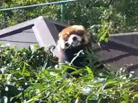 妙法寺(福井県)