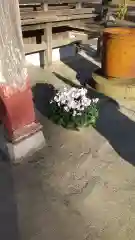 鹿嶋三嶋神社(茨城県)