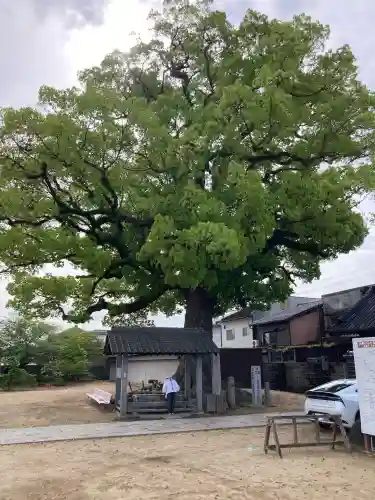 長尾寺の{uncategorized: "未分類", other: "その他", undefined: "問題あり", building: "その他建物", grave: "お墓", sacred_gate: "鳥居", guardian: "狛犬", statue: "像", buddha: "仏像", history: "歴史", nature: "自然", garden: "庭園", animal: "動物", pagoda: "塔", temizu: "手水舎", mountain_gate: "山門・神門", sanctuary: "本殿・本堂", subordinate: "末社・摂社", art: "芸術", scenery: "景色", jizo: "地蔵", ema: "絵馬", goshuin: "御朱印", omikuji: "おみくじ", items: "授与品その他", amulet: "お守り", goshuincho: "御朱印帳", eats: "食事", festival: "お祭り", votive_dance: "神楽", shichigosan: "七五三参", wedding: "結婚式", experience: "体験その他", initially: "初詣", around: "周辺", anti_infection: "感染症対策"}