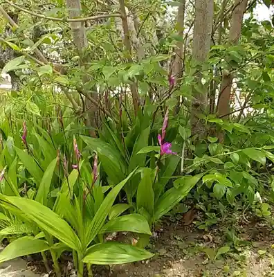 比佐豆知神社(三重県)