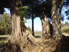 井上神社の自然