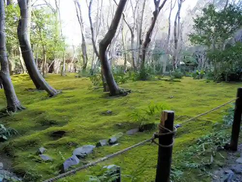 祇王寺の庭園