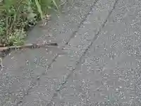 御嶽神社(宗像大社中津宮境外社)(福岡県)