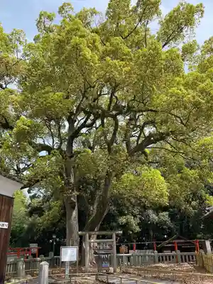 冠纓神社(香川県)