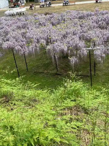 天台宗 五大山 白毫寺(兵庫県)