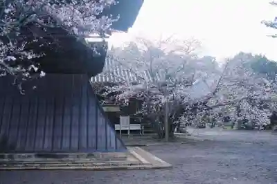 浄土寺のその他建物