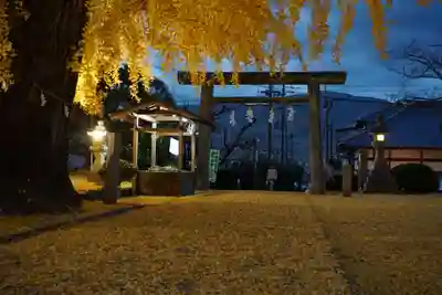 丹生酒殿神社の鳥居