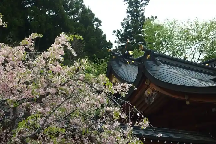 丹生川上神社(上社)(奈良県)