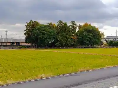 神明社（大屋敷）の自然