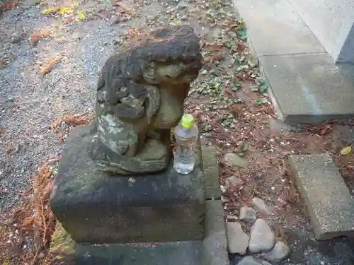 椙山神社の狛犬