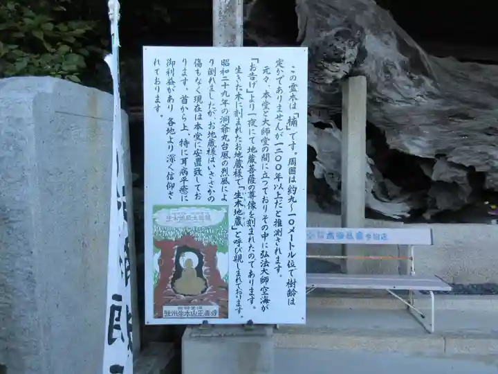 正善寺(生木地蔵)(愛媛県)