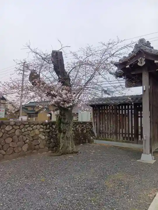 曼陀羅寺(愛知県)