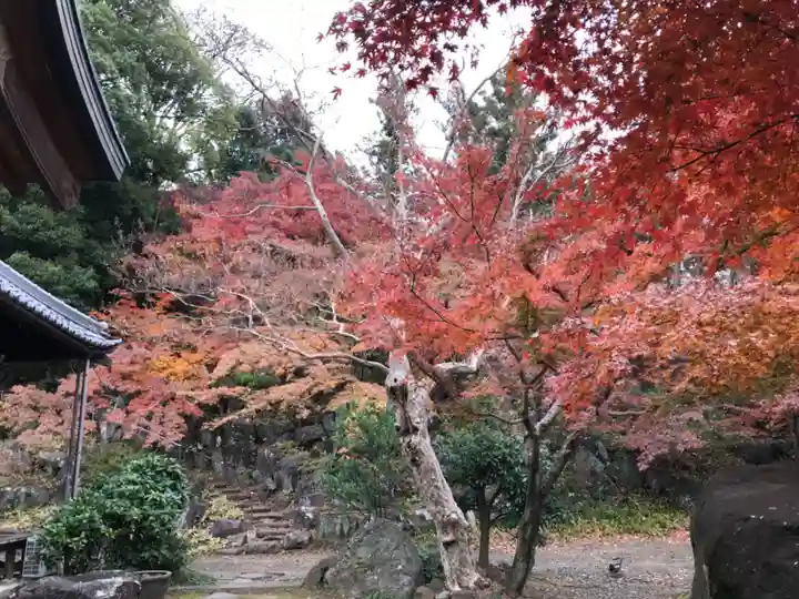 愛宕神社の自然
