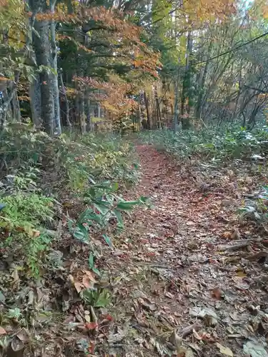 戸隠神社火之御子社(長野県)