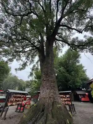 冠稲荷神社(群馬県)