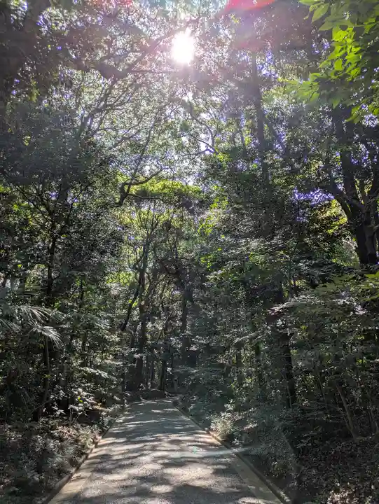 明治神宮(東京都)