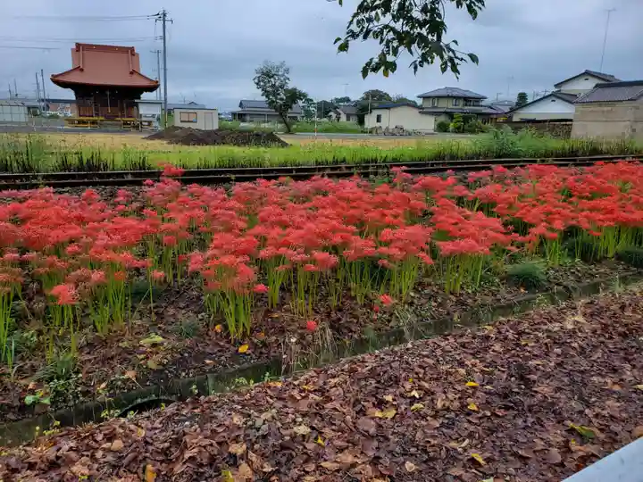 大前神社の自然