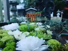 立志神社の手水