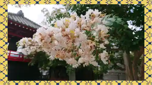 大蔵院(群馬県)